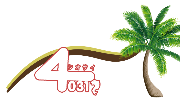 折尾の楽しい夜は4031にアリ♪